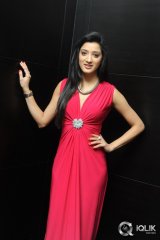 Richa Panai at Player Movie Poster Launch